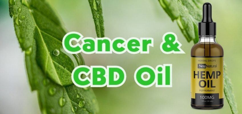 cannabis oil cures cancer